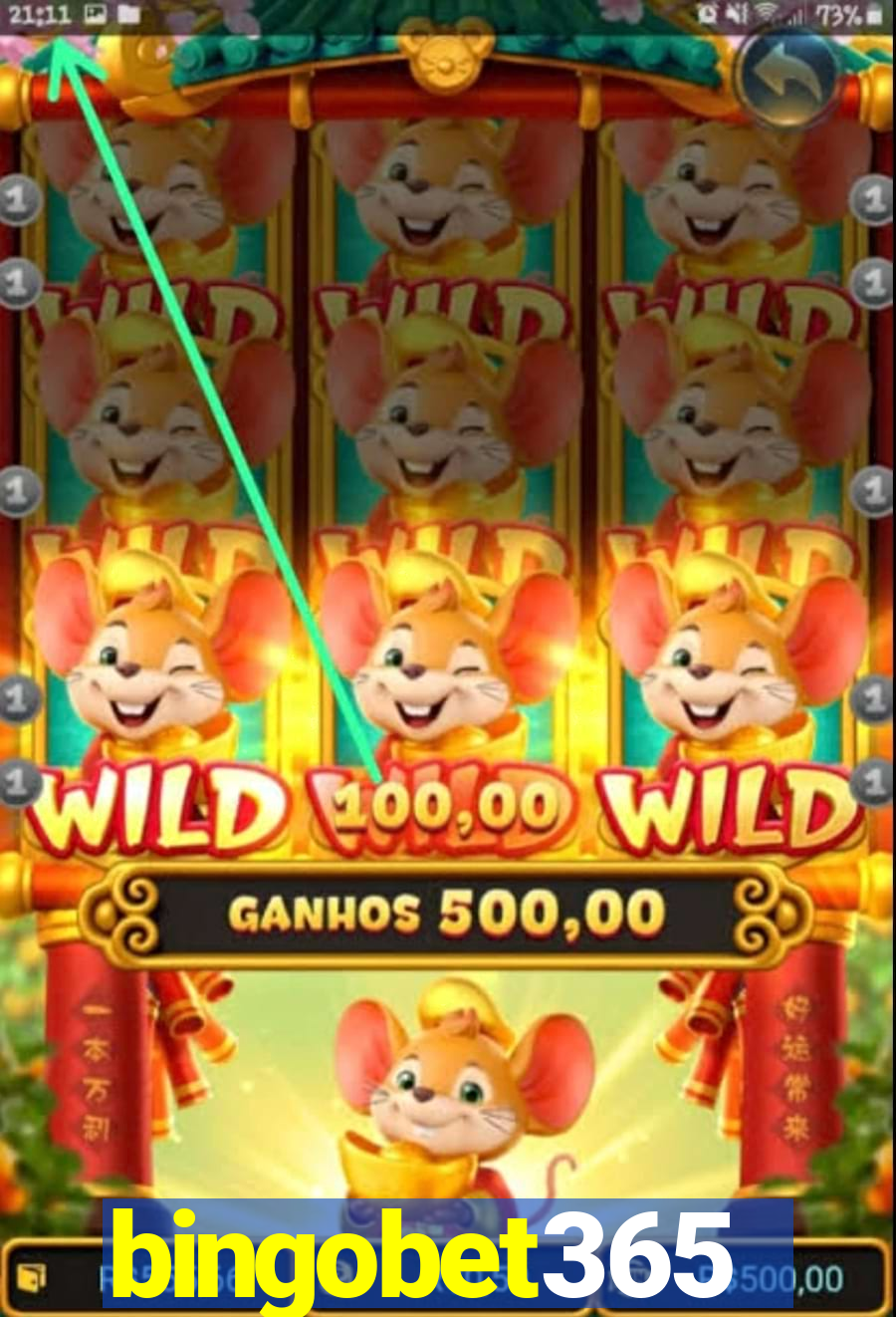 bingobet365
