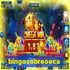 bingosobreoeca