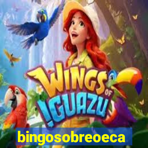 bingosobreoeca